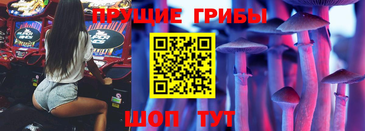 где купить   Псилоцибиновые грибы ЛСД  Пенза  Вход с VPN  Псилоцибиновые грибы прущие грибы 