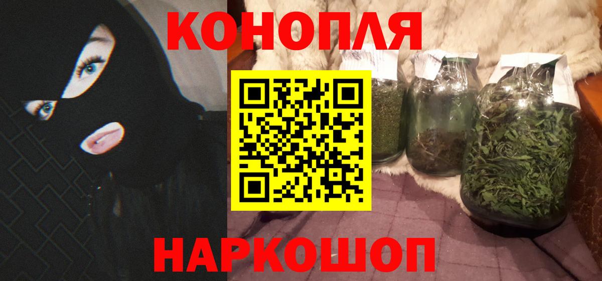 Бошки марихуана сатива Пенза